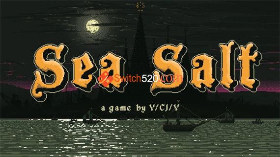 海盐|官方中文|本体+1.1.2b|NSZ|原版|