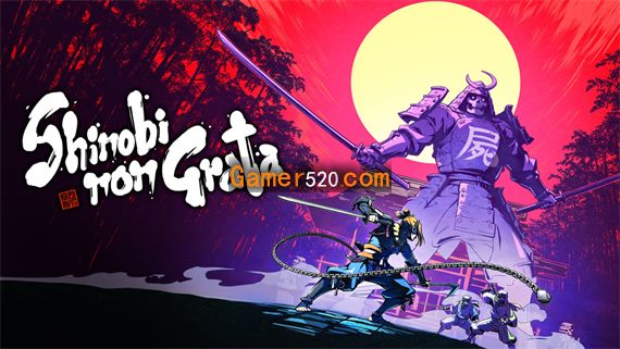 忍者封魔传|官方中文|本体+1.0.2升补|NSZ|原版|