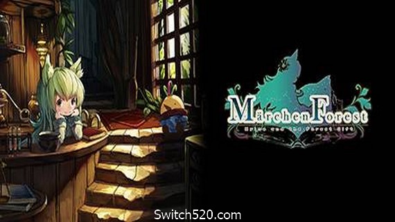 童话森林/Märchen Forest