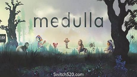 Medulla（v5685781）