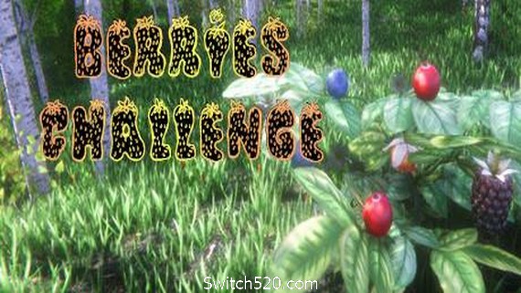 浆果挑战赛/Berries Challenge