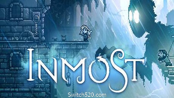 极渊/INMOST